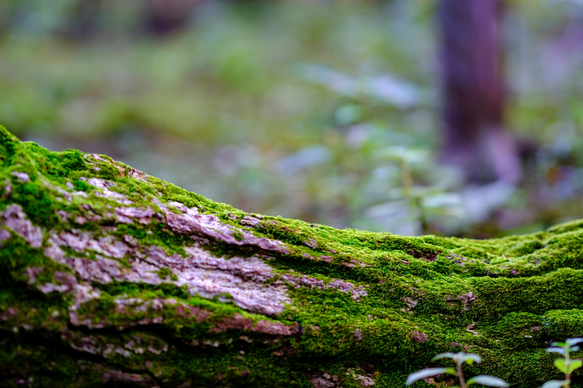 診療費・保険について